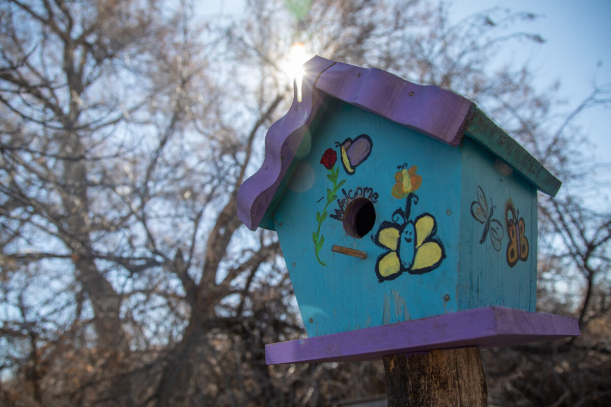 Build for the birds Birdhouse competition starts at Ogden Nature